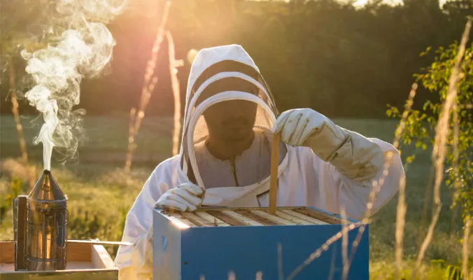 Chemical and Organic Mite Control