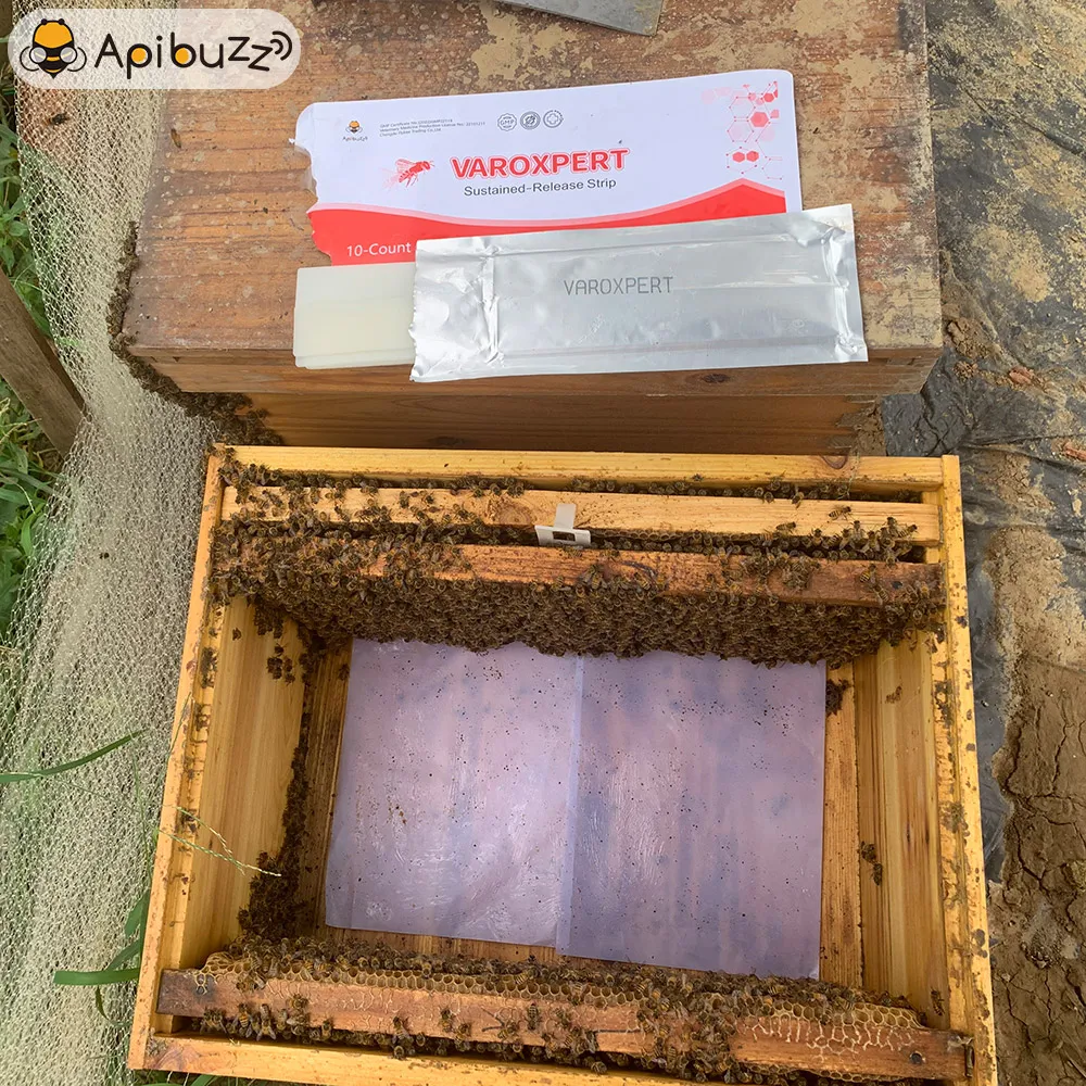 VAROXPERT Slow-Release Amitraz Varroa Strips