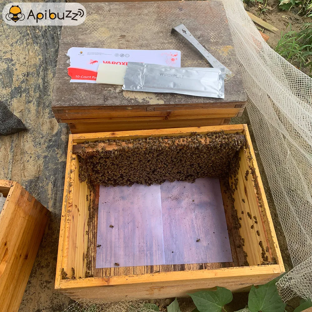 VAROXPERT Slow-Release Amitraz Varroa Strips