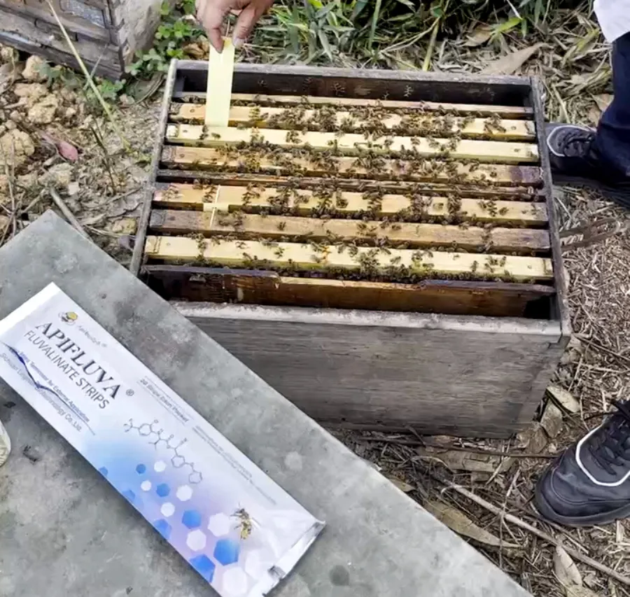 Mild Mite Control Solutions