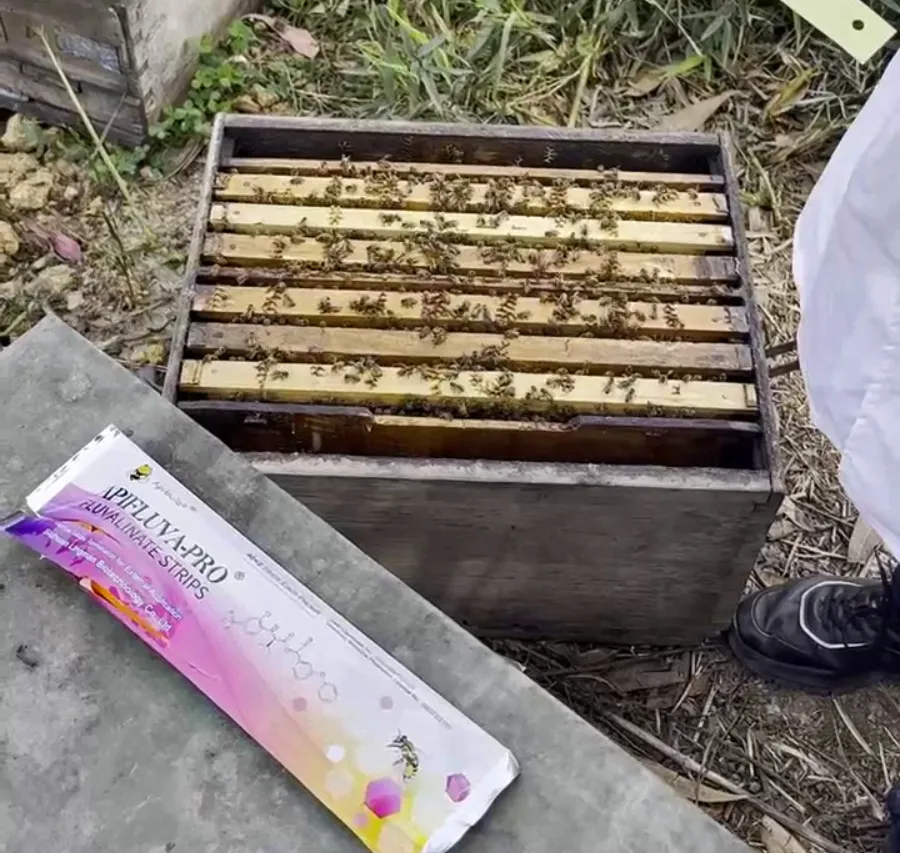Severe Mite Infestation or Drug Resistance Solutions