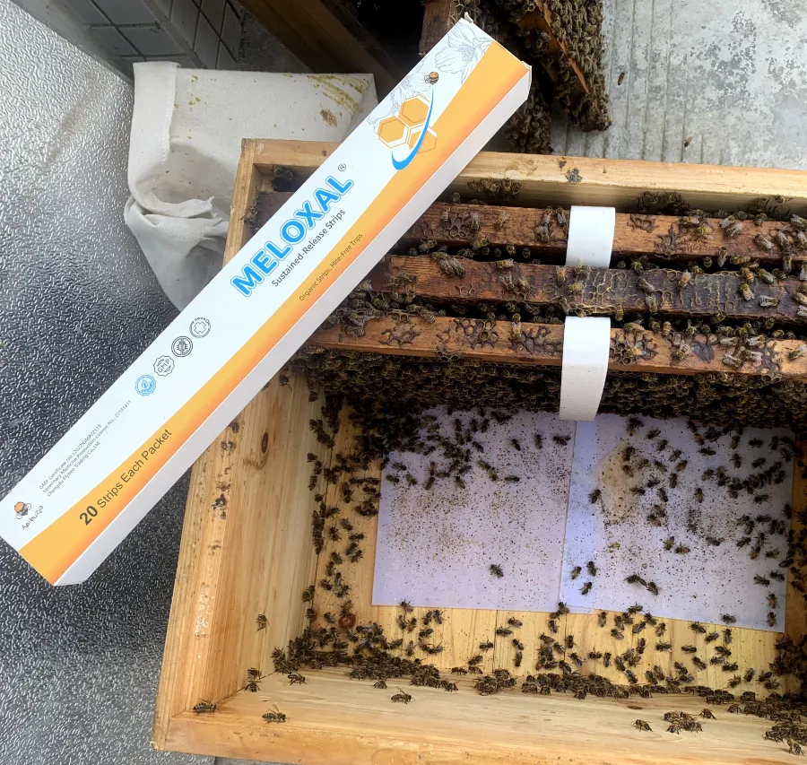 Mite Control During Honey Nectar Flows