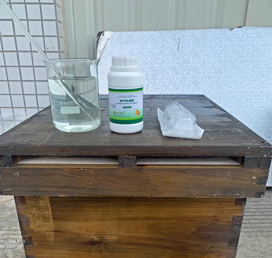 Best Way of Winter Mite Treatment for Bees