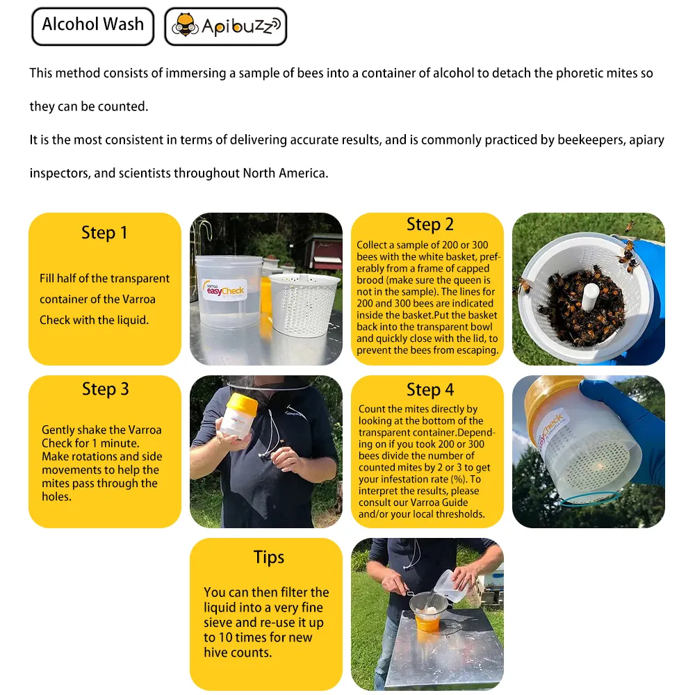 Varroa Mite Check for Infestation