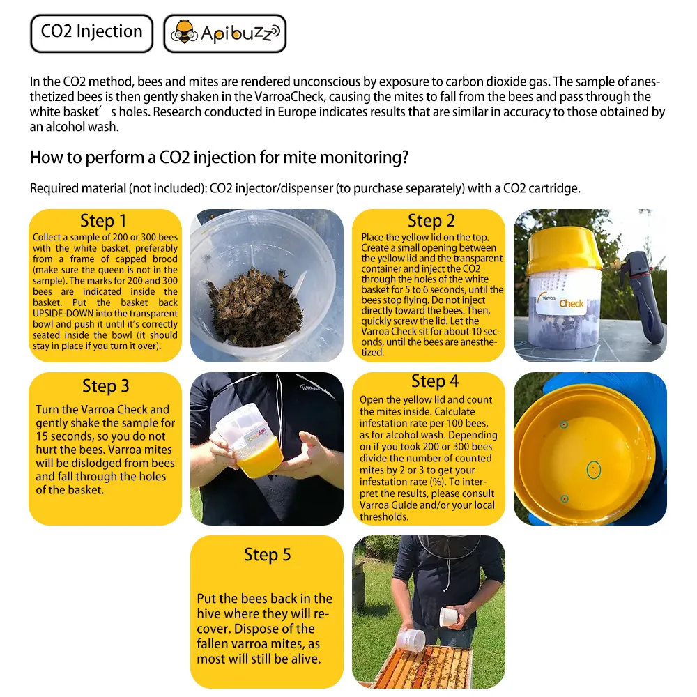 Varroa Mite Check for Infestation