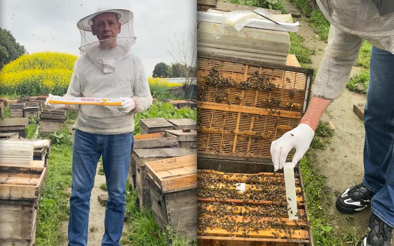 Russian Distributor Victor Visits APIBUZZ About Bee’s Things
