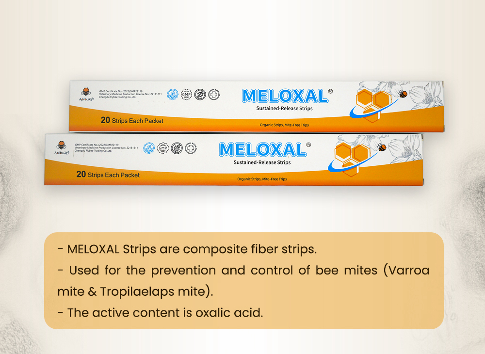 MELOXAL High-Dose Oxalic Acid Strips