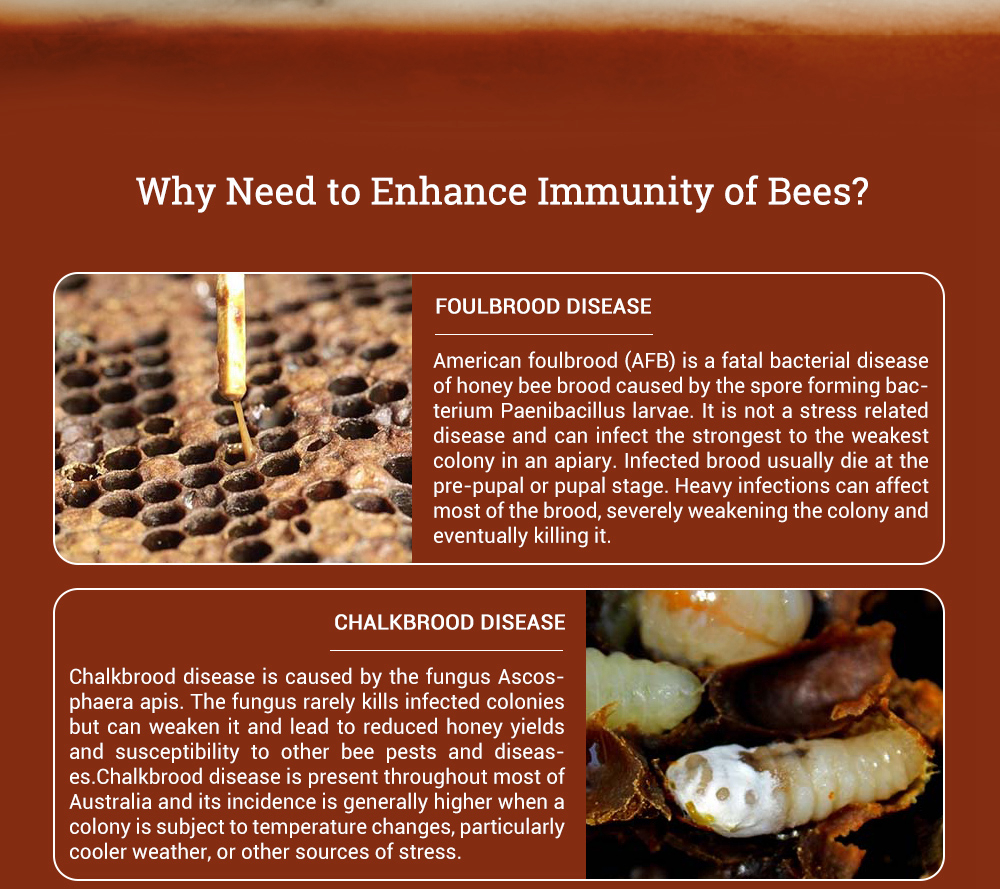 BEE-BESTIE - Microbial Bee Food Supplements