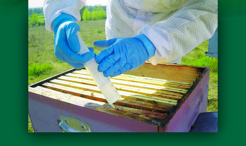 MYTH-BEE Oxalic Acid Treatment for Bees