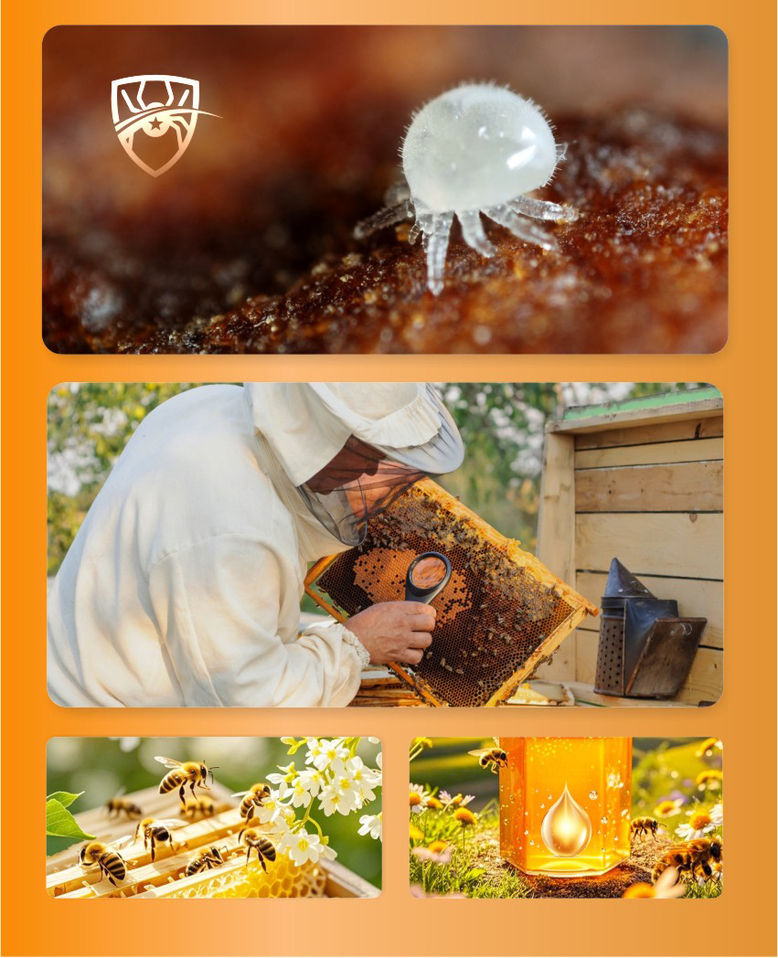 BEE-AMOR Mixed Formic Acid Spray for Bees