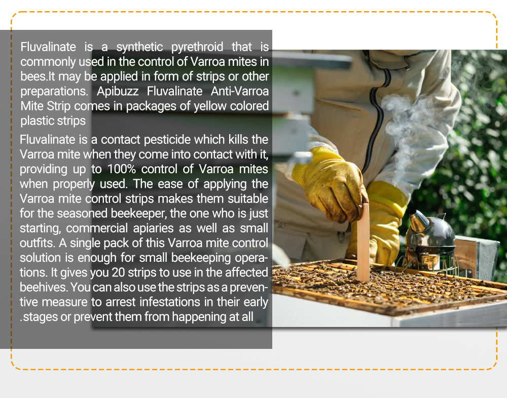 Arabic APIFLUVA Fluvalinate Strips - 20-Pack