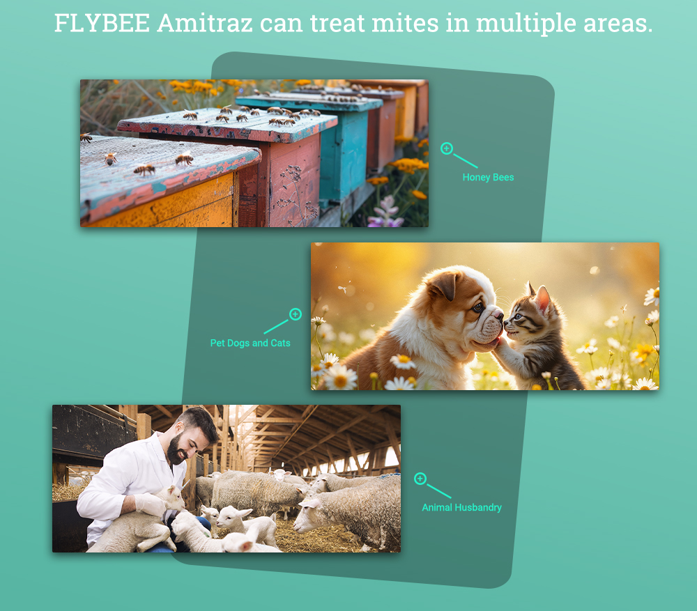 FLYBEE 1 Liter 12.5% EC Amitraz for Bees