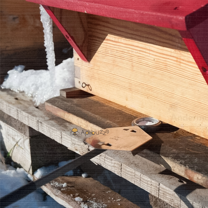 Beehive Mite Treatment Tools