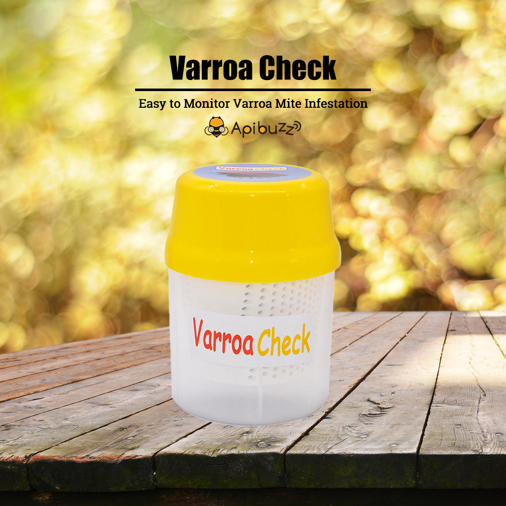 Varroa Mite Check for Infestation