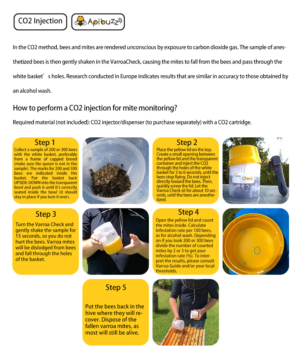 Varroa Mite Check for Infestation