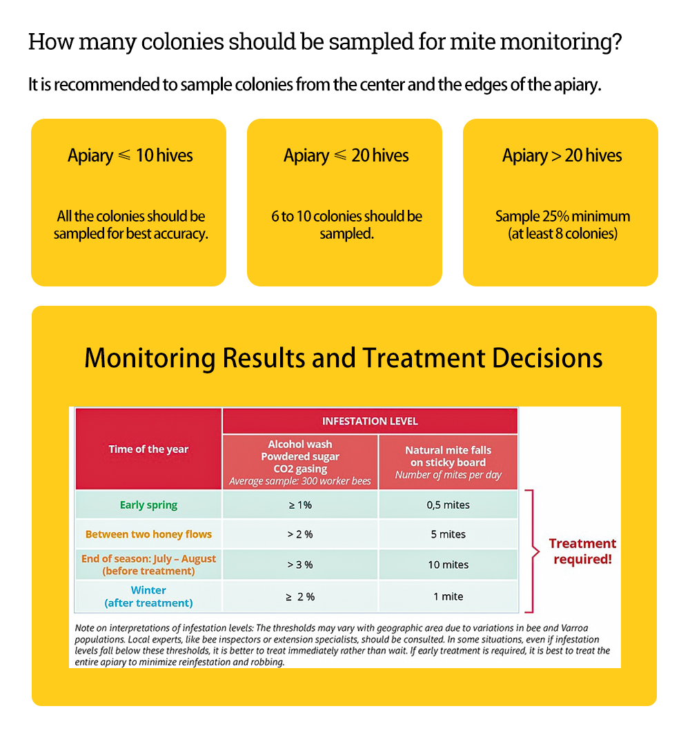 Varroa Mite Check for Infestation