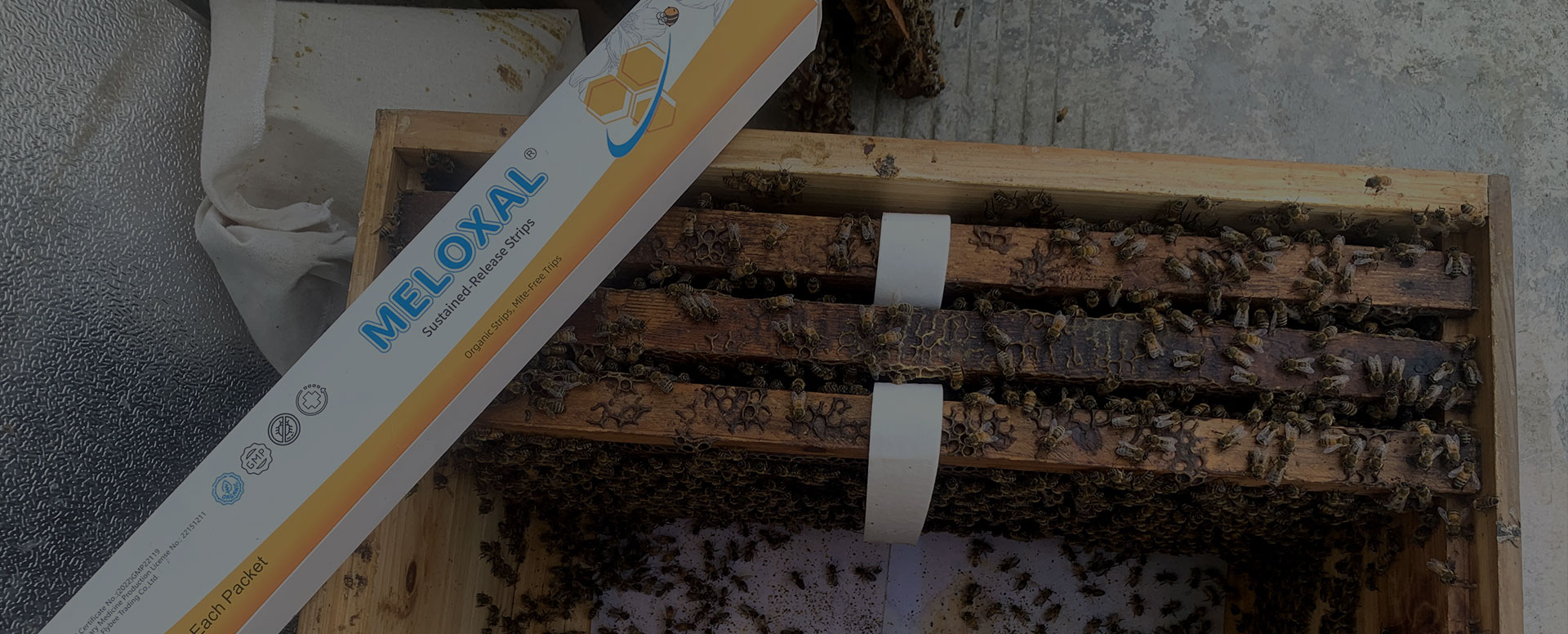 Why Apiary Supplies Are Vulnerable During Transport